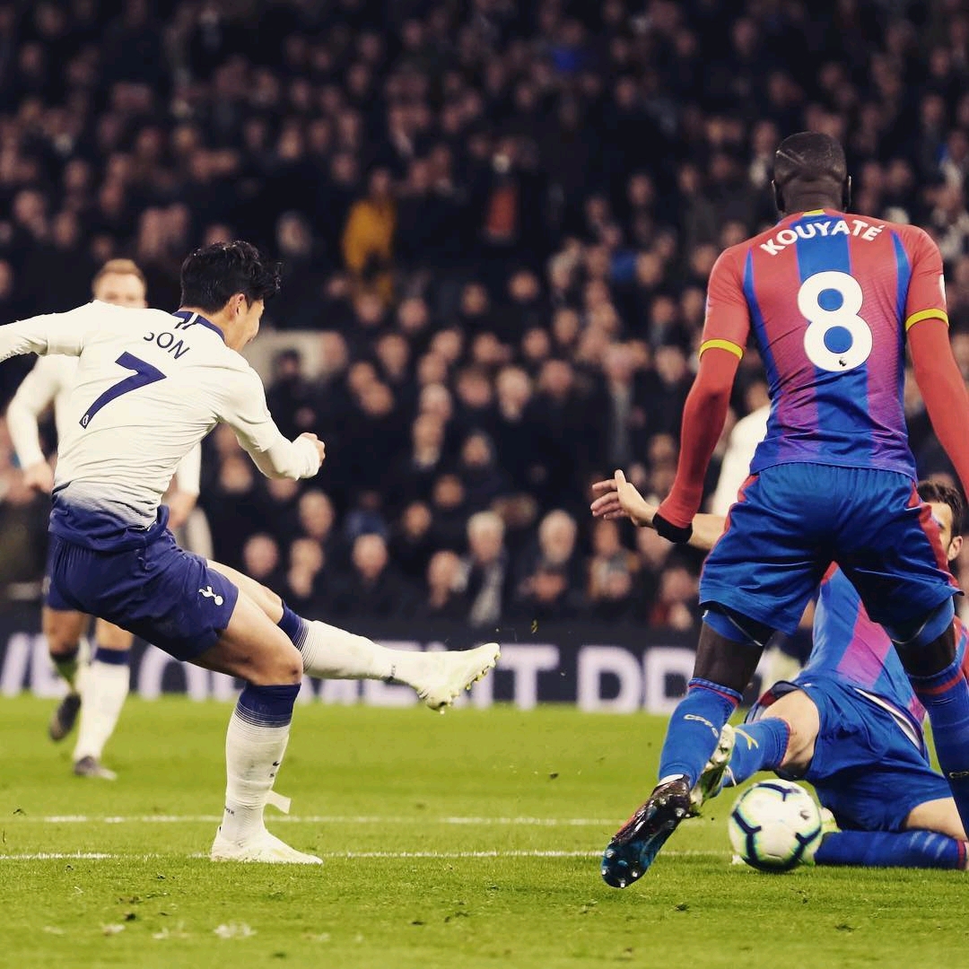 中的巨大支 中的巨大支